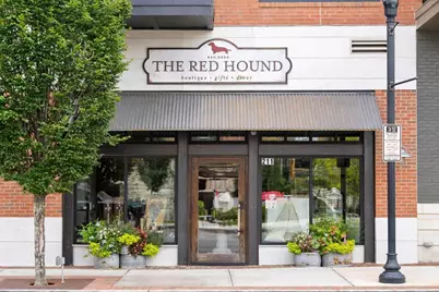 311 Wagon Way, Alpharetta, GA 30009 - Photo 40