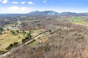 111 Skitts Mountain Rd, Cleveland, GA 30528 - Photo 58