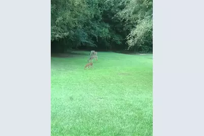 95 Homeplace Drive, Covington, GA 30016 - Photo 4