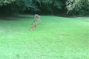 95 Homeplace Dr, Covington, GA 30016 - Photo 4