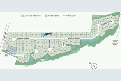 3206 Morris Hills Drive, Dacula, GA 30019 - Photo 18