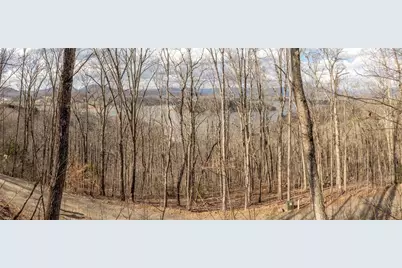 0 Frog Pond Road, Hiawassee, GA 30546 - Photo 6