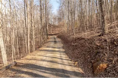 0 Frog Pond Road, Hiawassee, GA 30546 - Photo 4