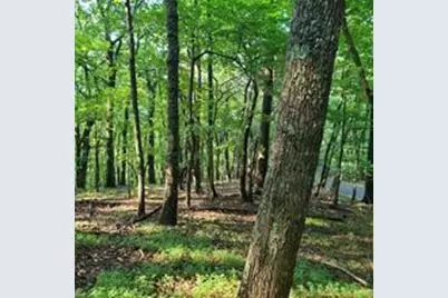 101 Deer Run, Big Canoe, GA 30143 - Photo 4