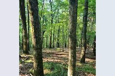 101 Deer Run, Big Canoe, GA 30143 - Photo 6