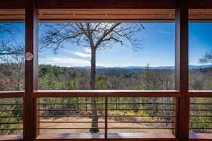 196 S Williamstown Ridge, Mineral Bluff, GA 30559 - Photo 12