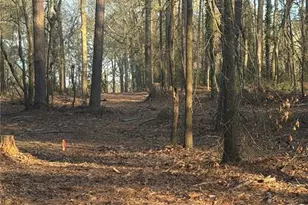 0 Jett Roberts Rd, Jefferson, GA 30549 - Photo 1