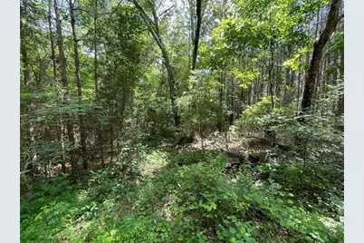 0 Fallen Branch Circle, Rome, GA 30161 - Photo 16