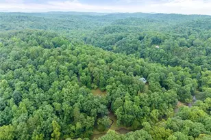 338 Woody Tucker Rd, Dawsonville, GA 30534 - Photo 64