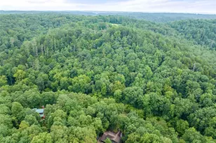 338 Woody Tucker Rd, Dawsonville, GA 30534 - Photo 66