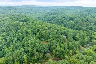 338 Woody Tucker Rd, Dawsonville, GA 30534 - Photo 54