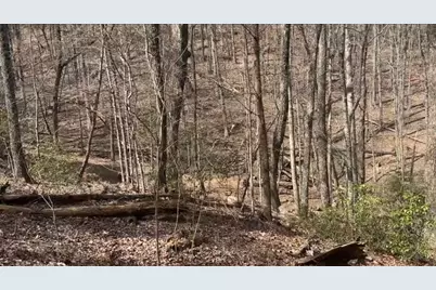 0 Valley View Drive, Jasper, GA 30143 - Photo 1