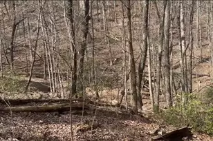 0 Valley View Dr, Jasper, GA 30143 - Photo 1