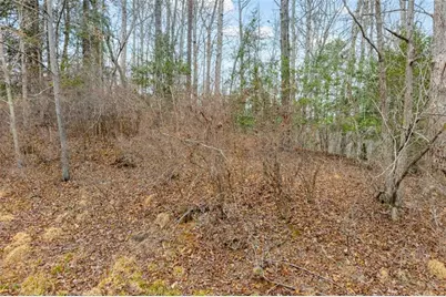 Lot 15 Old Timber Trail, Cornelia, GA 30531 - Photo 32
