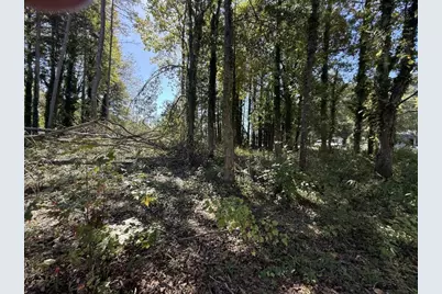 5666 McLeod Street, Lula, GA 30554 - Photo 14