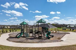 219 Crabapple Rd, McDonough, GA 30253 - Photo 36