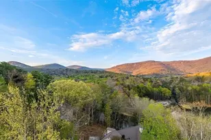 78 Blue Pine Ct, Jasper, GA 30143 - Photo 46