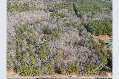 490 Dorsey Road, Hampton, GA 30228 - Photo 68