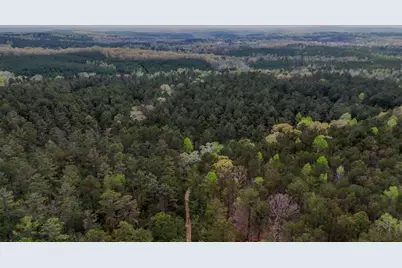 0 Hwy 166 Road, Carrollton, GA 30116 - Photo 2