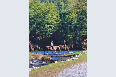 64 Fairview Court, Jasper, GA 30143 - Photo 84