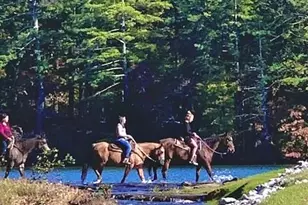 64 Fairview Ct, Jasper, GA 30143 - Photo 84