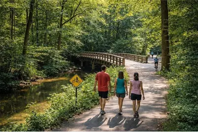 11650 Folia Circle, Alpharetta, GA 30005 - Photo 80