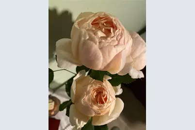 5221 La Paloma Drive SW, Lilburn, GA 30047 - Photo 38