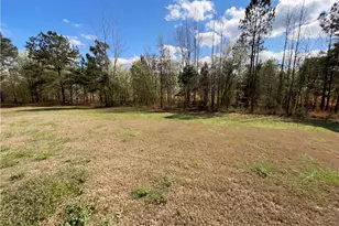 161 Donovan Ave, Locust Grove, GA 30248 - Photo 34