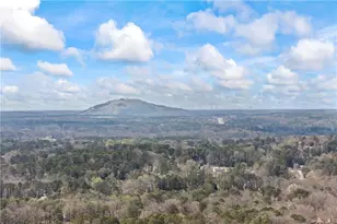 2493 Cherie Glen Rd, Snellville, GA 30039 - Photo 54