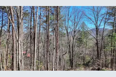 Lot 10 Butternut S/D / Firefly Ridge, Blairsville, GA 30512 - Photo 2