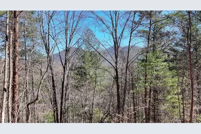 Lot 10 Butternut S/D / Firefly Ridge, Blairsville, GA 30512 - Photo 1