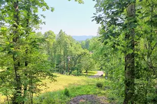 28 Coon Tail Rd, Blairsville, GA 30512 - Photo 6