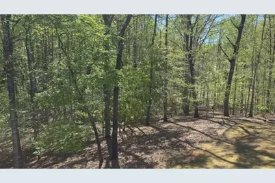 7032 Camp Falls Court, Winston, GA 30187 - Photo 42