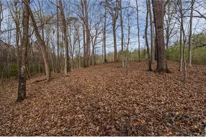 342 Jesse Martin Trail, Canton, GA 30115 - Photo 4