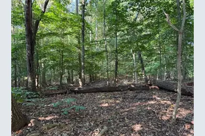 342 Jesse Martin Trail, Canton, GA 30115 - Photo 4