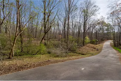 342 Jesse Martin Trail, Canton, GA 30115 - Photo 12