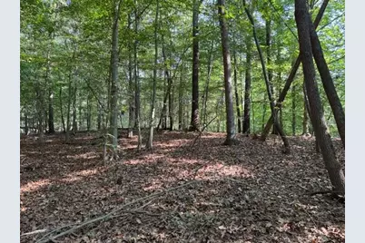 342 Jesse Martin Trail, Canton, GA 30115 - Photo 2