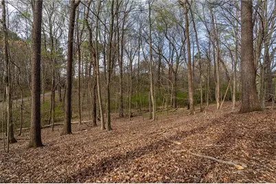 342 Jesse Martin Trail, Canton, GA 30115 - Photo 2