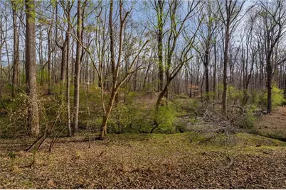 344 Jesse Martin Trail, Canton, GA 30115 - Photo 10