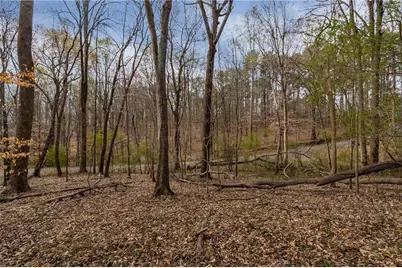 344 Jesse Martin Trail, Canton, GA 30115 - Photo 6