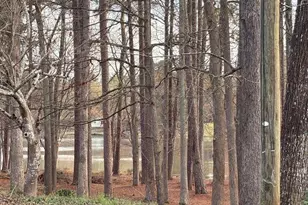 110 Kline Cir, Griffin, GA 30224 - Photo 2