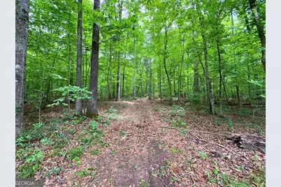 240 Riverview Road, Jackson, GA 30233 - Photo 66