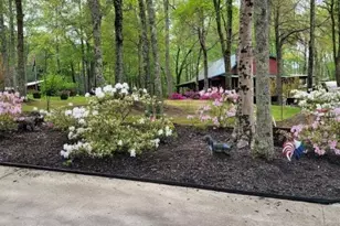5419 Tyree Rd, Winston, GA 30187 - Photo 70