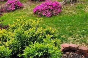 5419 Tyree Rd, Winston, GA 30187 - Photo 72