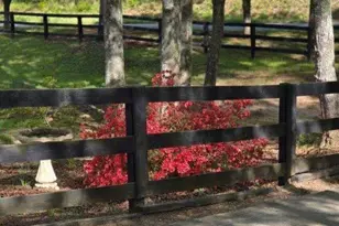 5419 Tyree Rd, Winston, GA 30187 - Photo 56