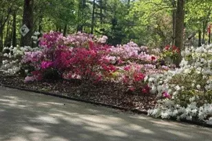 5419 Tyree Rd, Winston, GA 30187 - Photo 60