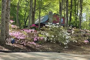 5419 Tyree Rd, Winston, GA 30187 - Photo 52