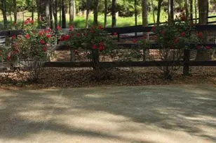 5419 Tyree Rd, Winston, GA 30187 - Photo 64