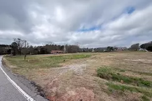 T1 461 Harry McCarty Rd, Bethlehem, GA 30620 - Photo 1