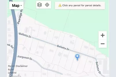 Lot 11 Belletta Drive, Canton, GA 30114 - Photo 8